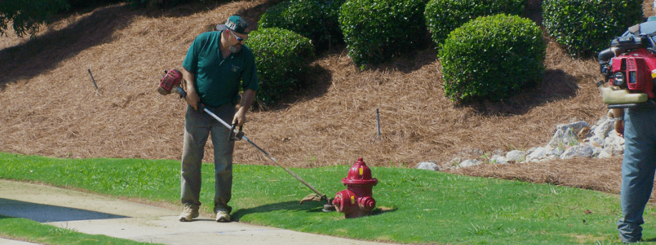 Lawn Care Augusta, GA